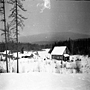 41-й лесоучасток. Р. Лозьва, 27 января 1959 г.